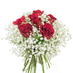 An elegant bouquet composed of six radiant crimson roses provides the captivating focal point in this classic arrangement. The roses stand tall, each bloom nearly unfurled, petals dense and satin-soft, their rich red hue a vibrant symbol of love. Encircling these passionate blooms, a lush abundance of snowy white baby's breath forms an ethereal, cloud-like ring, adding texture and gentle contrast. The pristine background accentuates the vibrancy, allowing the interplay of bold red and airy white to shine. Beneath, the long, green stems are expertly gathered-showcasing a just-cut freshness that speaks to skilled hands and careful artistry. Drawing inspiration from the tranquil lanes and friendly spirit of Noak Hill, the bouquet quietly recalls the calm mornings along St. Patrick's Drive or local moments celebrated at the heart of the community. Every detail is thoughtfully arranged to honor tradition and contemporary romance alike, offering a fragrant expression of affection and joy. This carefully crafted bouquet, ideal for anniversaries, heartfelt gestures, or simply brightening a loved one's day, brings a touch of Noak Hill's welcoming charm to any room, its classic composition a testament to the timeless allure of red roses and white gypsophila. Available from Flower Delivery Noak Hill for doorstep delivery throughout the local area.